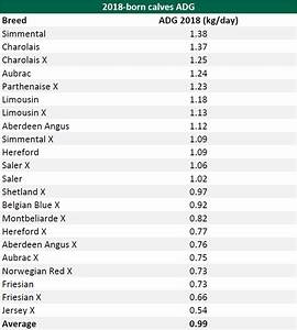 Angus Cattle Weight Chart