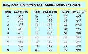 Head Circumference Chart Photo By I Plaza Photobucket