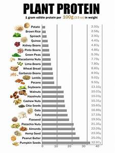 51 Best Images About Protein Chart On Pinterest Calorie Chart