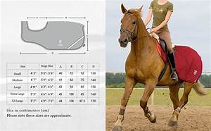 Harrison Howard Climax Exercise Sheet Competition Rug Fleece Waterproof