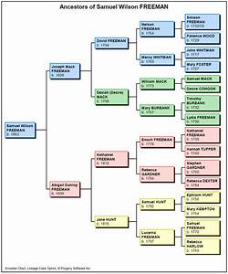 Family Tree What Type Of Chart Is This Genealogy Family History