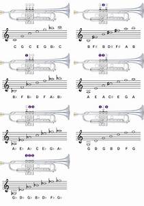 qmg trumpet chart with color coded notes learn trumpet