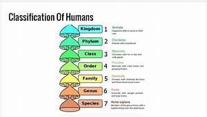 Classification Of Living Things Youtube