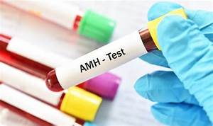 Amh Levels By Age Chart What Is A Healthy Range What Your Amh Levels