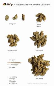 A Quoi Ressemble Le Cannabis Un Guide Visuel Des Quantités Et Mesures
