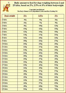 dog food portions chart