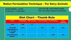 Dairy Cows Ration Formulation Easy Steps For Farmers