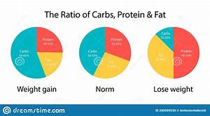 The Diagram Ratio Of Carbs Fats And Protein For Weight Gain And Lose