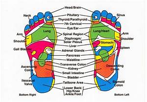 Reflexology Benefits And Limitations Ewhai Therapy School