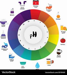 Ph Scale Universal Indicator Color Chart Vector Image