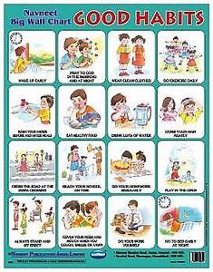 navneet big wall chart good habits english online in india buy at best