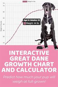 Interactive Great Dane Growth Chart And Calculator Puppy Weight