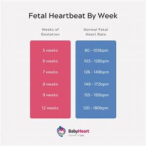 Stacey Abrams Faces Backlash For Claiming 6 Week Fetal Heartbeat Is