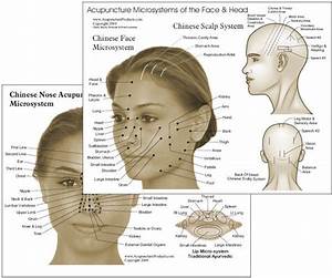 Microsystems Of The Face Head Acupuncture Chart Clinical Charts And