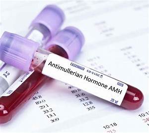 Amh Test Causes Of High Or Low Amh What Is Normal Amh Levels By Age