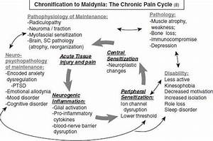 The Pathophysiology Of Chronic And Clinical Interfaces With