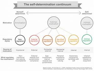 Self Determination Theory Motivation In Online Learning