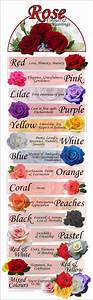 Rose Colours Meanings 24 Hrs City Florist Singapore