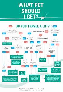5 Funny Flowcharts To Help You Make Very Important Life Decisions