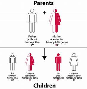 Hemophilia Inheritance Patterns X Chromosomes Mutation