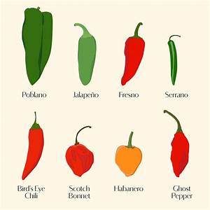 your ultimate guide to chile peppers from mild to spicy martha stewart