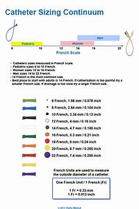  Catheter Size Template