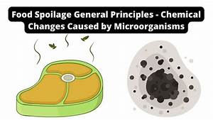 food spoilage general principles chemical changes caused by