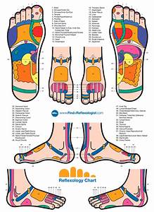 Full Body Reflexology Chart