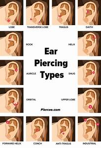 Ear Piercing Chart 17 Types Explained Level Price Photo