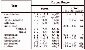 Renal Profile Normal Values Douglas Erickson