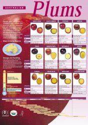 Retail Training Manual Summerfruit Australia