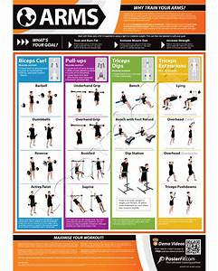 The Arms Exercise Poster Shows The Everyday Benefits Of Training Your