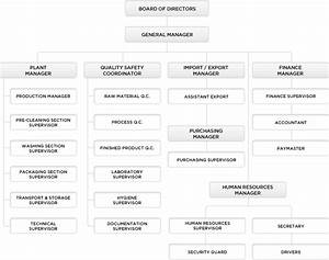 Food Manufacturing Company Organizational Chart 223472 Food Industry