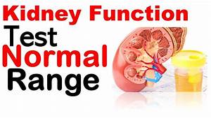 Kidney Function Test Normal Range Youtube