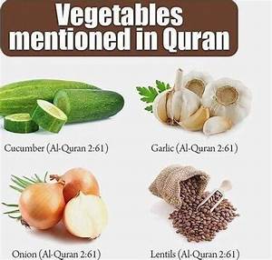 Pin By Hammad Ali Khan On Islamic Quran Muslim Diet Islam Hadith