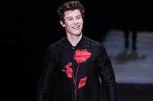 Shawn Mendes Body Statistics Height And Weight Measurements