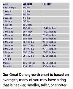 Great Dane Growth Chart I
