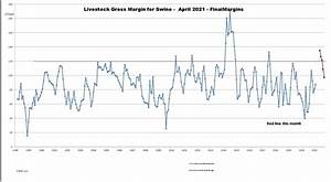 Swine History Dairy Gross Margin