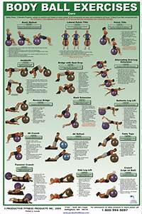 Now To Actually Do This Stability Ball Exercises Workout Chart