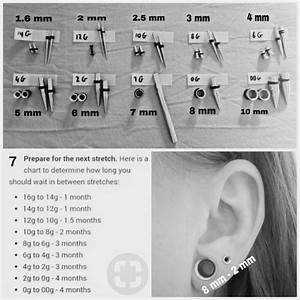 Ear Sizes Guide Types Of Ear Piercings Ear Piercings