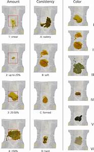Infant Stool Form Scale Development And Results The Journal Of