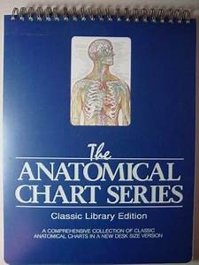 The World 39 S Best Anatomical Chart Series A Comprehensive Collection Of