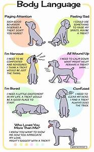 pictures of dog body language dog body language chart dogs dog