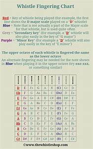 Whistle Keys Guide Chart Tin Whistle Whistle Irish Flute