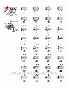 French Horn Chart Haha In 2019 French Horn Horns