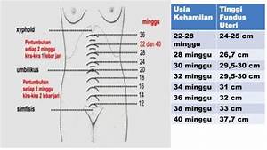 Mengukur Tinggi Fundus Uteri