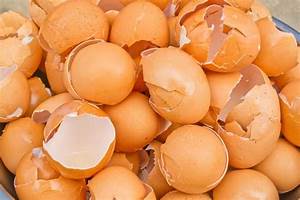 Pemanfaatan Cangkang Telur