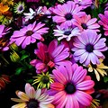 Spring Flowers Desktop