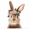 Bunny with Flower Crown Cartoon