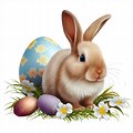 Cute Easter Bunny No Background